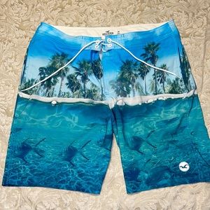 Men’s Hollister swim trunks. Size 34.